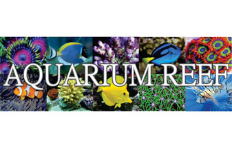 Aquarium Reef - Foto 1