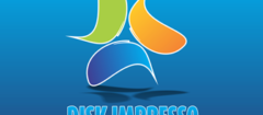 disk-impresso-pinhais-1379445479
