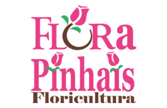 Flora Pinhais - Foto 1