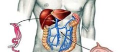 gastroenterologia-pinhais-1379433884
