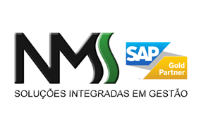 NMS Soluções Integradas em Gestão - Foto 1