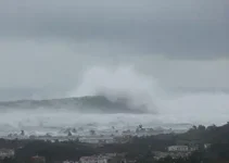 alerta laranja tempestade São José dos Pinhais