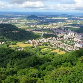 São José dos Pinhais