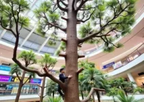 Arvorismo no Shopping São José