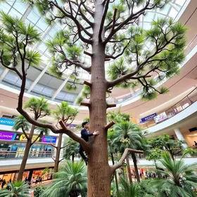 Arvorismo no Shopping São José