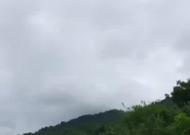 Pinhais previsão do tempo