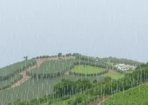 São José dos Pinhais