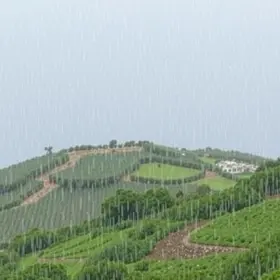 São José dos Pinhais