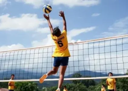 Últimas noticias de Pinhais