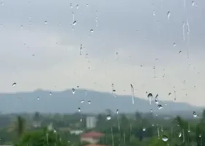 Últimas noticias de Pinhais