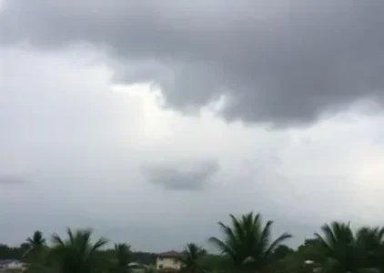 Últimas noticias de Pinhais