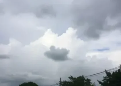 Últimas noticias de Pinhais