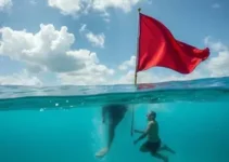 Piraquara participa do Saúde em Movimento 2026 em Pinhais