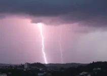 São José dos Pinhais