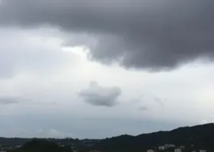 Últimas noticias de Pinhais