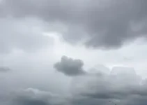 São José dos Pinhais