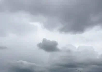 Últimas noticias de Pinhais