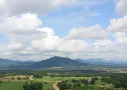 Últimas noticias de Pinhais
