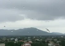 São José dos Pinhais previsão do tempo
