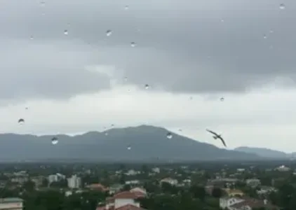 Últimas noticias de Pinhais