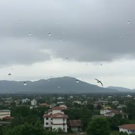 São José dos Pinhais previsão do tempo