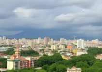 cartão de identidade brasileiro