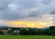 verificação de bots