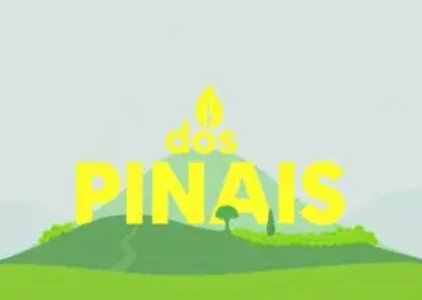 Últimas noticias de Pinhais