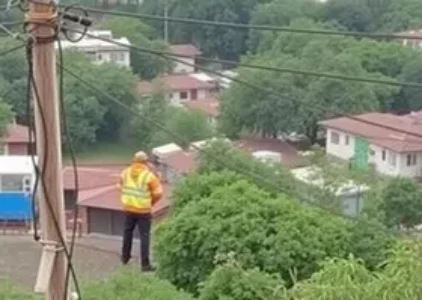 Últimas noticias de Pinhais