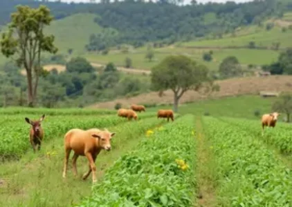 Últimas noticias de Pinhais