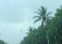 tempestade no paraná