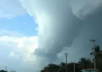 tornados no Paraná