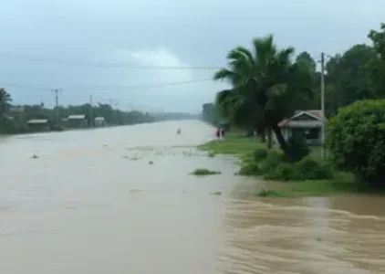 Últimas noticias de Pinhais