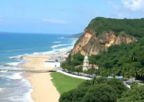 São José dos Pinhais abrir edital
