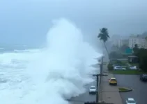 São José dos Pinhais