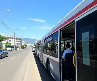 transporte coletivo gratuito